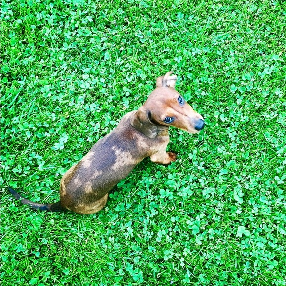 Meet your Posher, Courtney - Picture 1 of 1